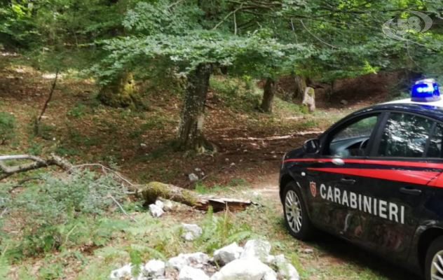 Carabinieri salvano due escursionisti dispersi sul Terminio