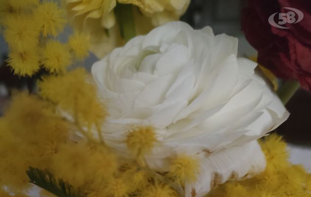8 marzo, Mastella: "Donne protagoniste di nuove forme di gentilezza purificante"