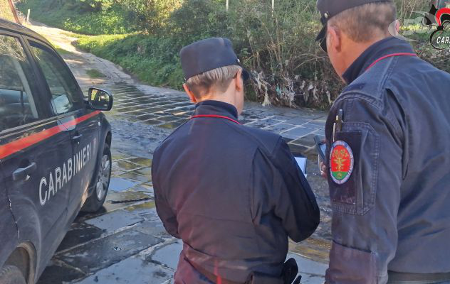 Trevico, i Carabinieri denunciano un imprenditore