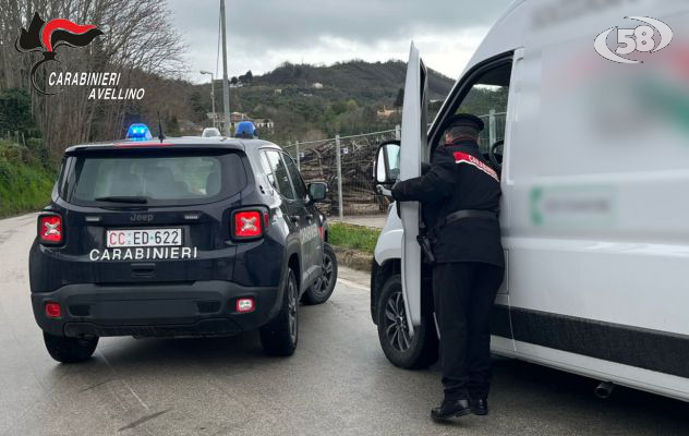 Furti, Carabinieri arrestano un 25enne e denunciano un 30enne