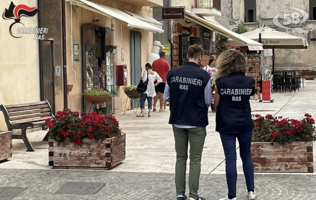 Controlli del NAS presso strutture che ospitano scolaresche in gita: sequestri e chiusure