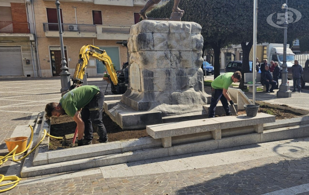 Interventi sul verde pubblico: iniziata la piantumazione di 80 alberi