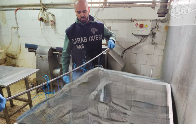 Scovato laboratorio abusivo di carni in pessime condizioni, maxi sequestro dei Nas/VIDEO