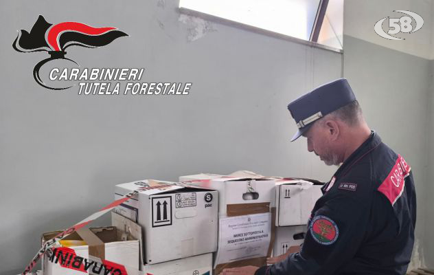 Fitofarmarci, blitz dei Carabinieri: sequestro di oltre 400 chili di prodotti