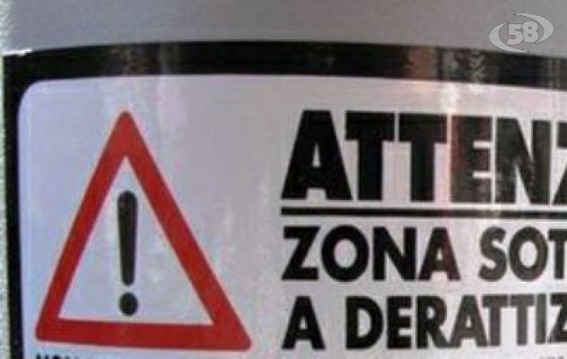 Trappole per topi, disinfestazione ad Avellino