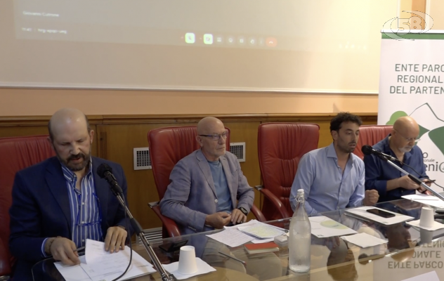 Parco del Partenio e Cnr insieme per una due giorni di terapia forestale
