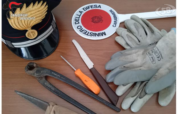 Danneggia la recinzione e ruba all'interno della proprietà, 19enne beccato e arrestato dai Carabinieri