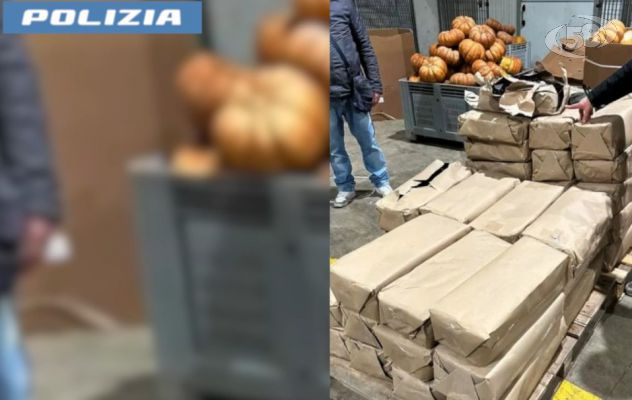 Tonnellate di droga nascoste anche tra la frutta. Operazione congiunta di Polizia Napoli e Finanza Roma/VIDEO