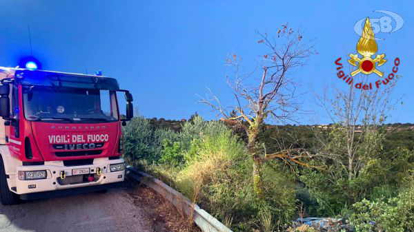 Auto finisce in una scarpata, muore 44enne di Villanova