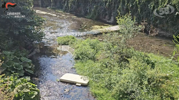 Tutela dell’ambiente: Carabinieri intervengono nel torrente Fenestrelle