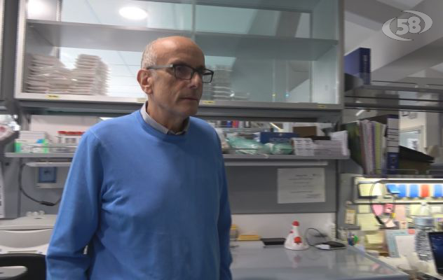 Studio Biogem-Vanvitelli: identificato nuovo soppressore del carcinoma epatocellulare