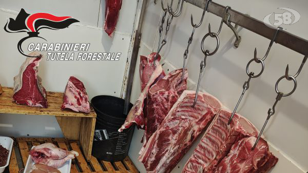 Sequestrati 20 chili prodotti alimentari, "riscontrate gravi violazioni igienico-sanitarie"