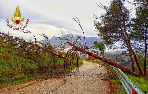 Avellino, maltempo: circa 40 interventi dei Vigili del Fuoco