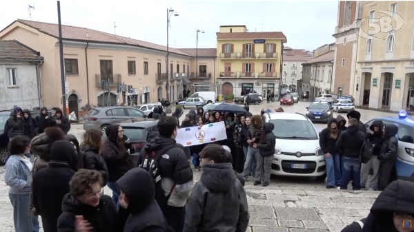 Studenti del Ruggero II in piazza: una delegazione da Franza