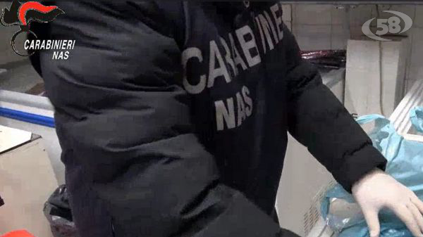 "Macellazione clandestina e in pessime condizione igienico sanitario". Maxi sequestro dei Nas di Salerno/VIDEO