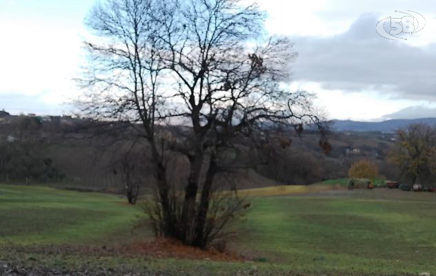 Forno crematorio a Pietradefusi e ai piedi di Montefusco, “rispettiamo la sentenza del Tar ma non ci arrenderemo”