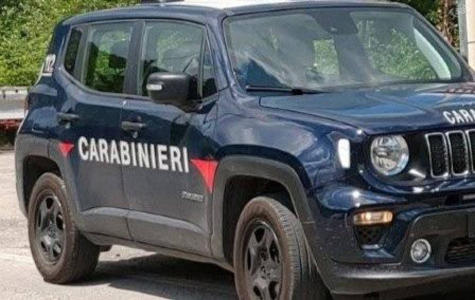 Incidente sul lavoro, operaio perde la vita travolto da un albero