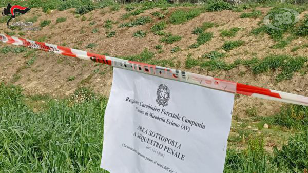 Melito, Carabinieri sequestrano un terreno di 1000 metri quadrati