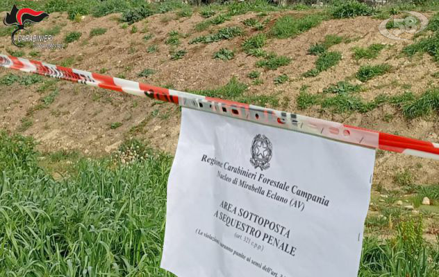 Melito, Carabinieri sequestrano un terreno di 1000 metri quadrati