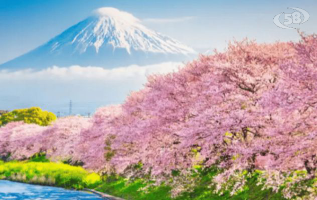 Guiness Travel completa l'offerta Estremo Oriente per il biennio 2026-2027