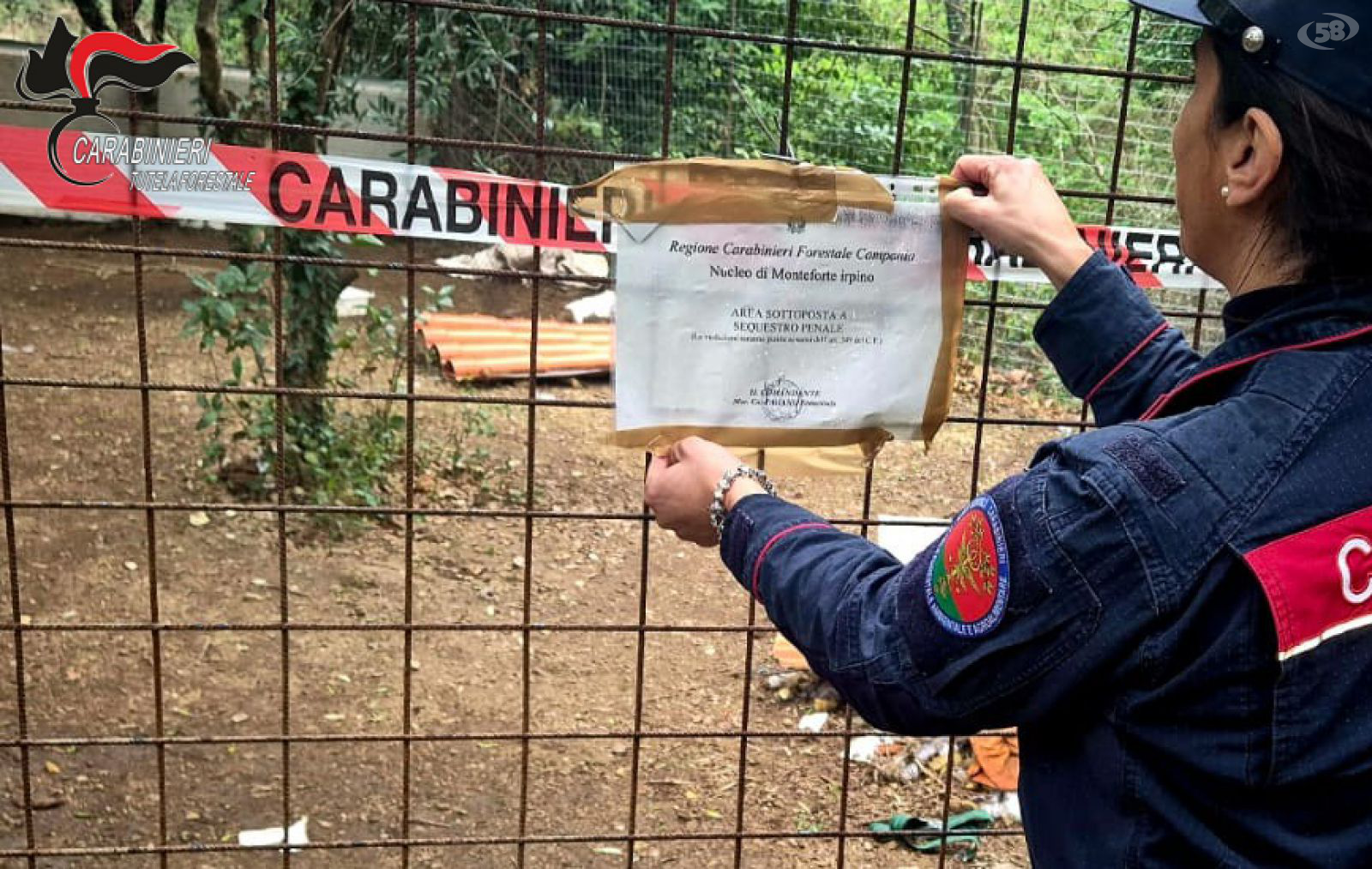 Dieci cani detenuti in grave condizione di sofferenza