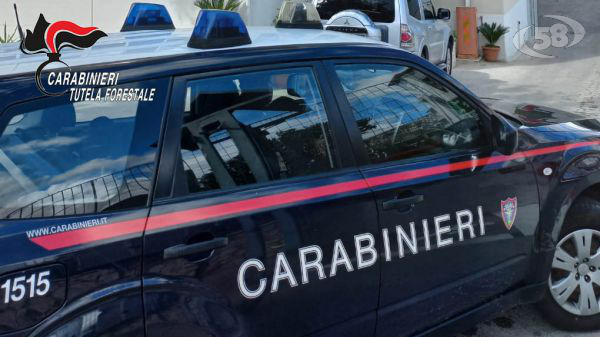Inquinamento fiume Sarno, Carabinieri denunciano un imprenditore