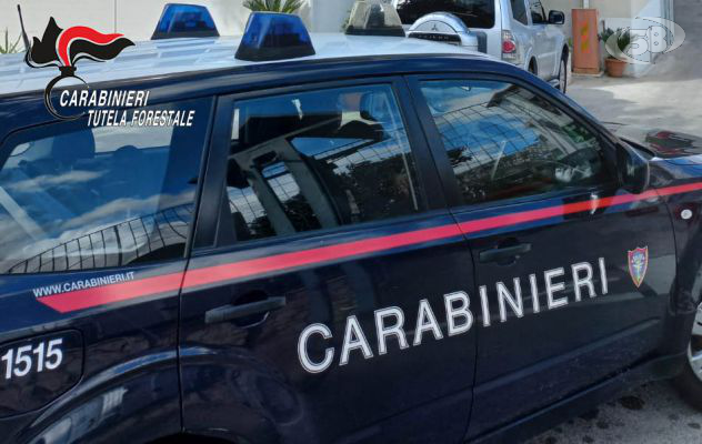 Inquinamento fiume Sarno, Carabinieri denunciano un imprenditore