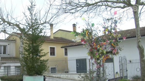 A Flumeri nasce l’Albero della Pace, simbolo di unione e speranza