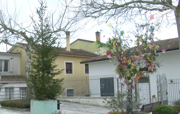 A Flumeri nasce l’Albero della Pace, simbolo di unione e speranza