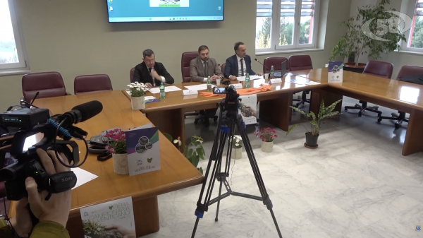 Aree interne in mostra alla Fiera di Venticano