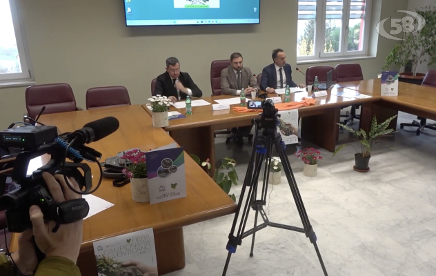 Arre interne in mostra alla Fiera di Venticano