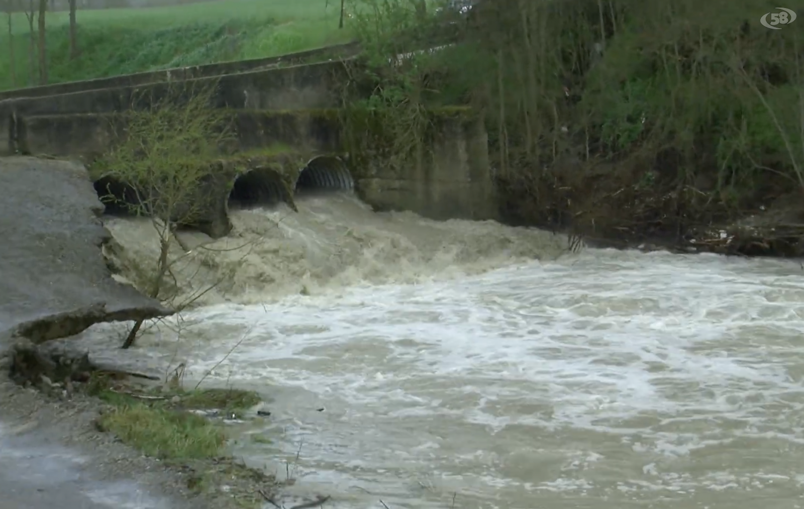 Piogge intense fanno esondare il torrente Fiumarelle, l'allarme di Uniagri