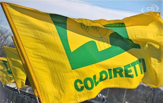 Coldiretti, da domani ad Avellino il "Villaggio Contadino"