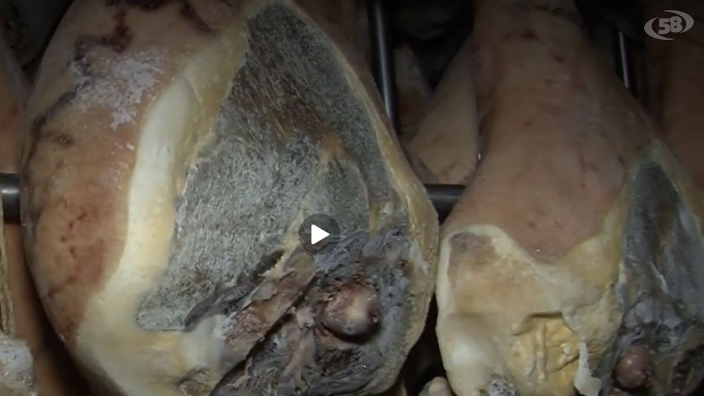 Dai prosciutti alle cagliate, Coldiretti: l’invasione “silenziosa” che soffoca il made in Italy. Si intervenga/VIDEO