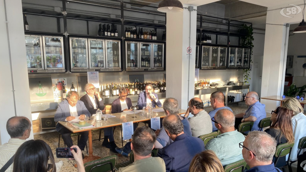 Progetto Italia debutta in Irpinia con sindaci e amministratori