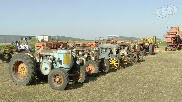 Al via l'8° Raduno dei Trattori d'Epoca ad Ariano Irpino
