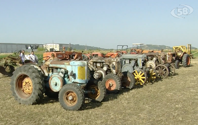 Al via l'8° Raduno dei Trattori d'Epoca ad Ariano Irpino.