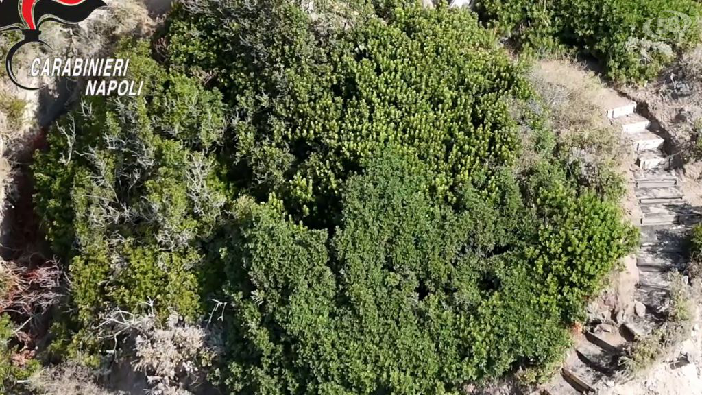 Resort di lusso "abusivo" incastonato nella roccia. Nascosto dalla vegetazione. I Carabinieri hanno raggiunto la costa a nuoto/VIDEO