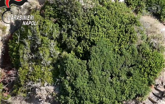 Resort di lusso "abusivo" incastonato nella roccia. Nascosto dalla vegetazione. I Carabinieri hanno raggiunto la costa a nuoto