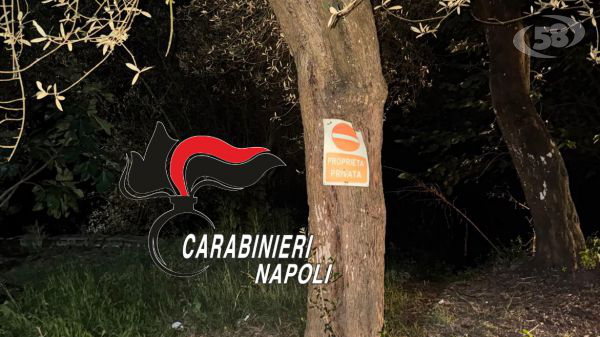 Droga nascosta nel tronco di un ulivo, blitz notturno dei Carabinieri: 55enne in manette