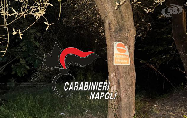 Droga nascosta nel tronco di un ulivo, blitz notturno dei Carabinieri: 55enne in manette