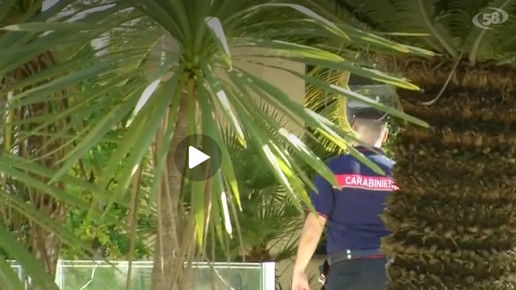 Tragedia in paese, morti tre fratelli a colpi d'arma da fuoco. Apice sotto choc/VIDEO