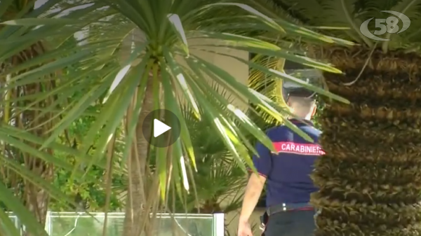Tragedia in paese, morti tre fratelli a colpi d'arma da fuoco. Apice sotto choc/VIDEO