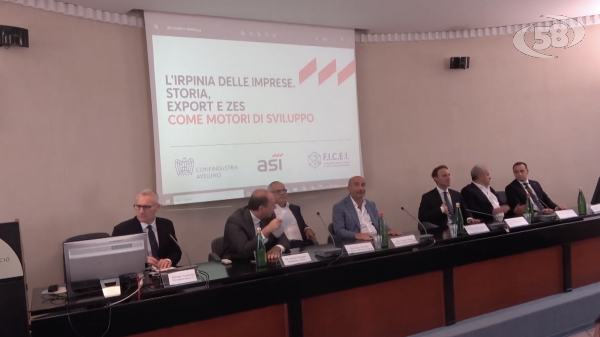 Zes ed export: bene le imprese irpine, male le infrastrutture