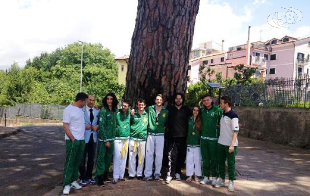 Taekwondo, a Pellezzano bottino pieno per gli atleti dell’Asd Avellino