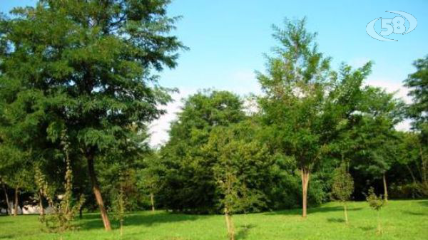 Comunità Montana del Taburno, Diglio eletto presidente, NdC: "Ora Ente merita serenità istituzionale, al lavoro"