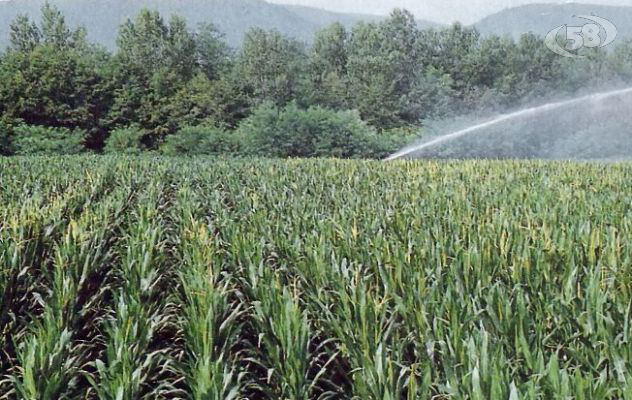 Pozzi in valle Ufita: sospsesa l'erogazione dell'acqua