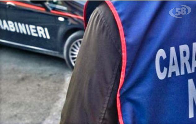 Controlli dei Nas nelle province di Avellino, Benevento e Salerno: sequestrate 2,5 tonnellate di alimenti