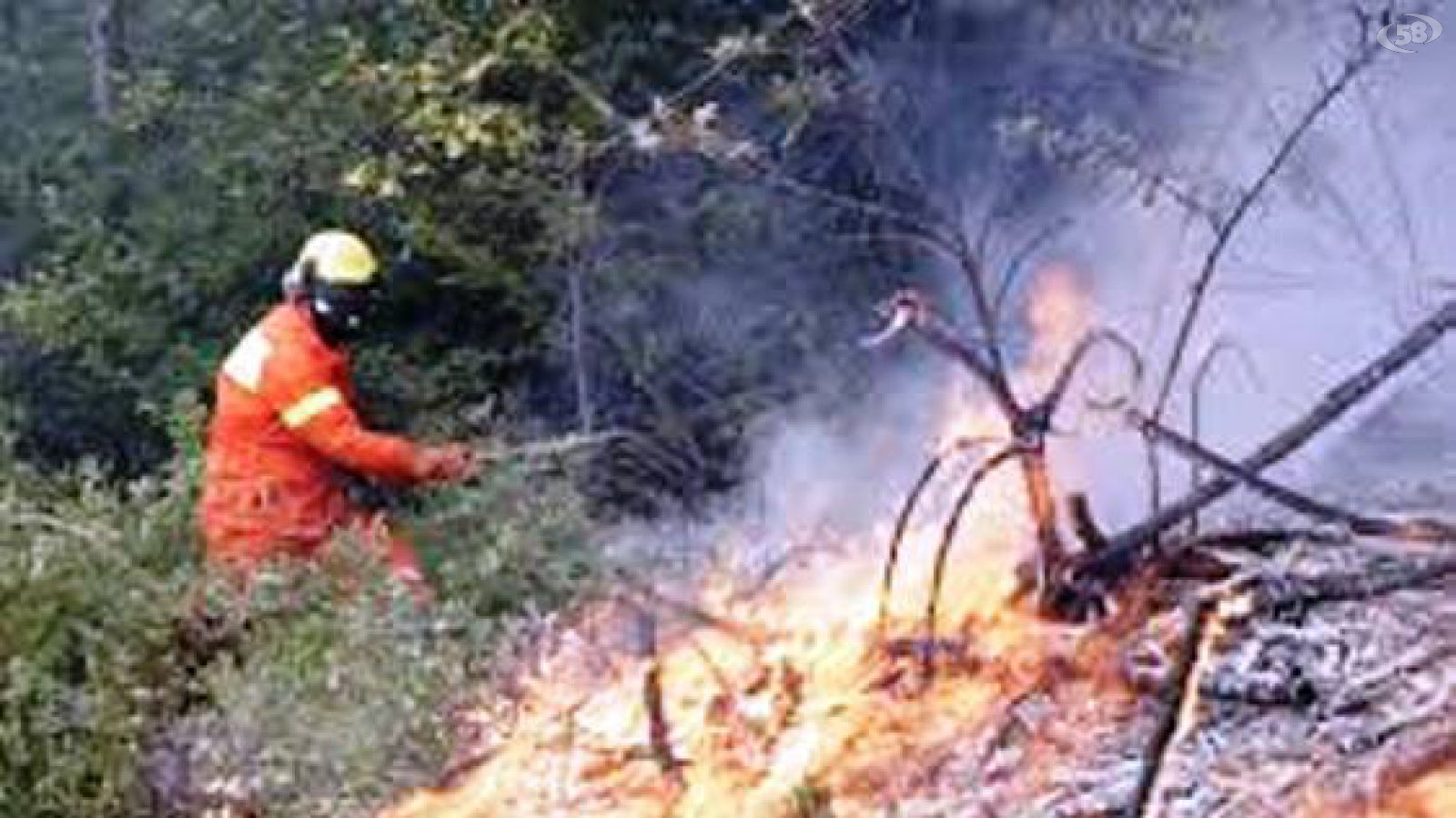 incendio boschivo