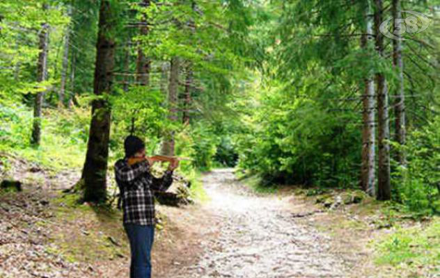Caccia al cinghiale abusiva, 5 denunciati